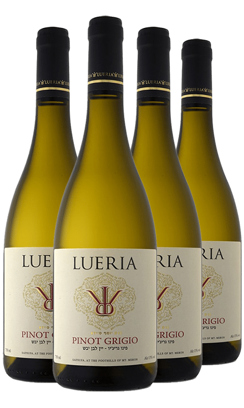 רביעיית לוריא פינו גריגו